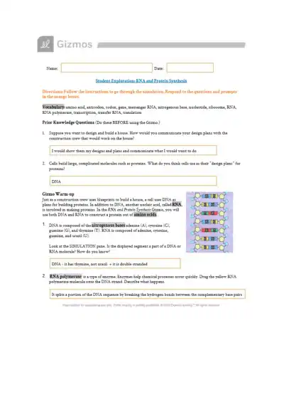 Rna and protein synthesis gizmo - Page 1 preview image