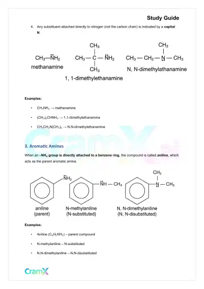 Organic Chemistry II - Amines - Page 3 preview image
