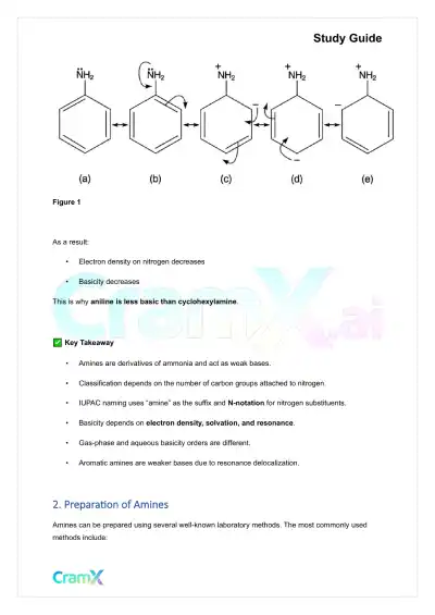 Organic Chemistry II - Amines - Page 6 preview image