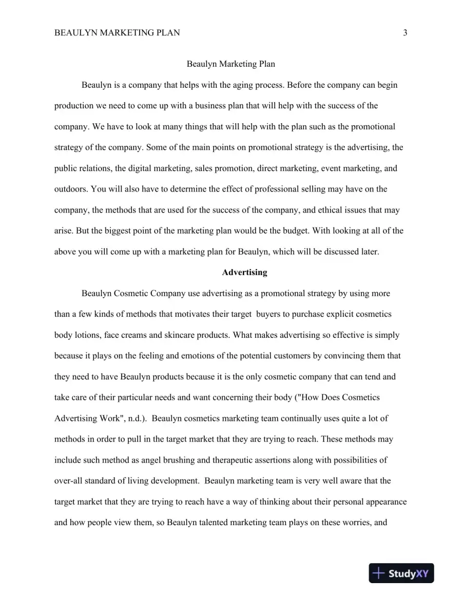 MKT/421 Beaulyn Marketing Plan, page 4