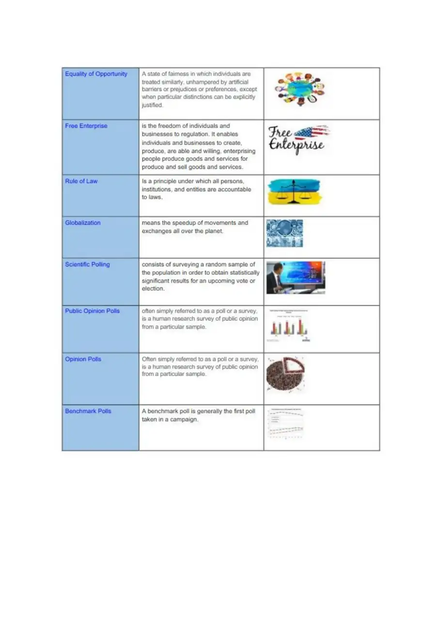 APGOV Unit 4 Vocabulary, page 2