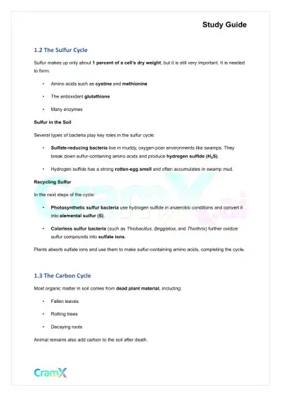 Microbiology - Soil Microbiology - Page 2 preview image