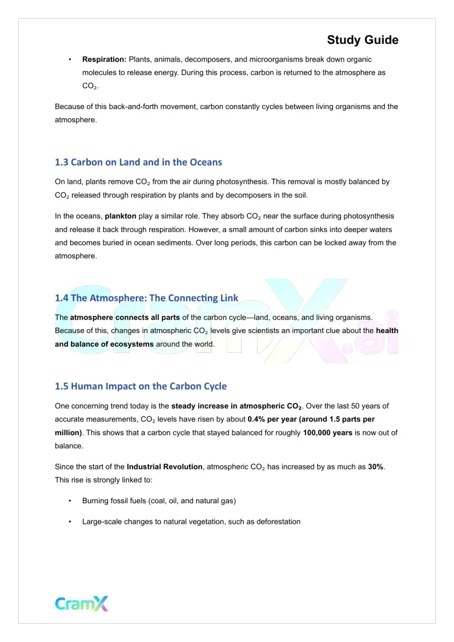 Plant Biology - Biogeochemical Cycles, page 2