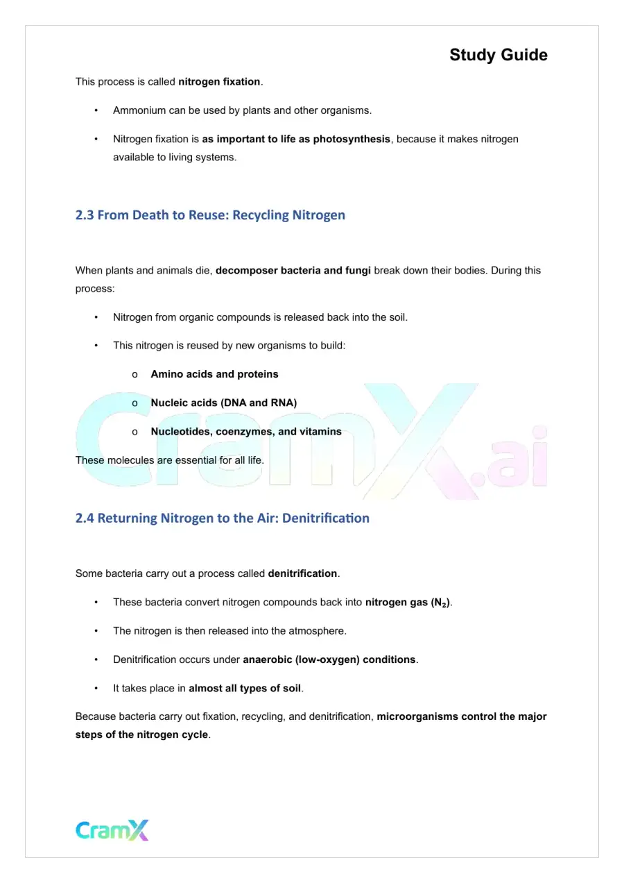 Plant Biology - Biogeochemical Cycles, page 4
