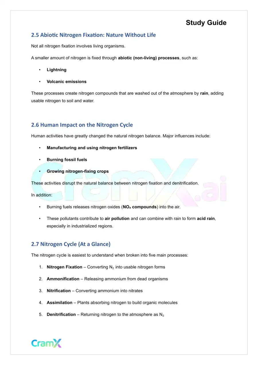 Plant Biology - Biogeochemical Cycles, page 5