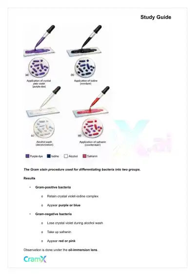 Microbiology - Microscopy - Page 4 preview image