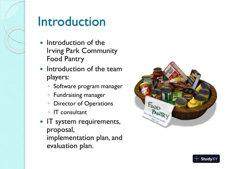 Presentation And Role-Play On a New IT System - BSHS 352, page 3