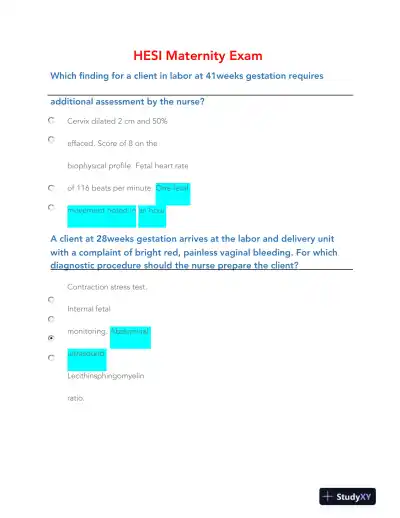 2023 HESI Maternity Practice Exam With Answers (14 Solved Questions) - Page 3 preview image