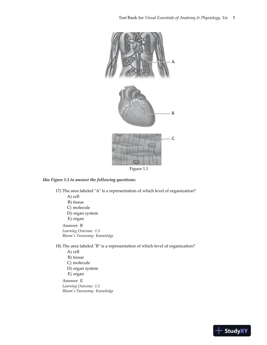 Test Bank for Visual Essentials of Anatomy and Physiology, 1st Edition, page 9