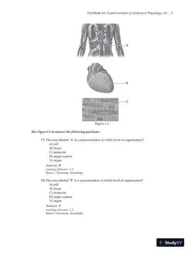 Test Bank for Visual Essentials of Anatomy and Physiology, 1st Edition - Page 9 preview image