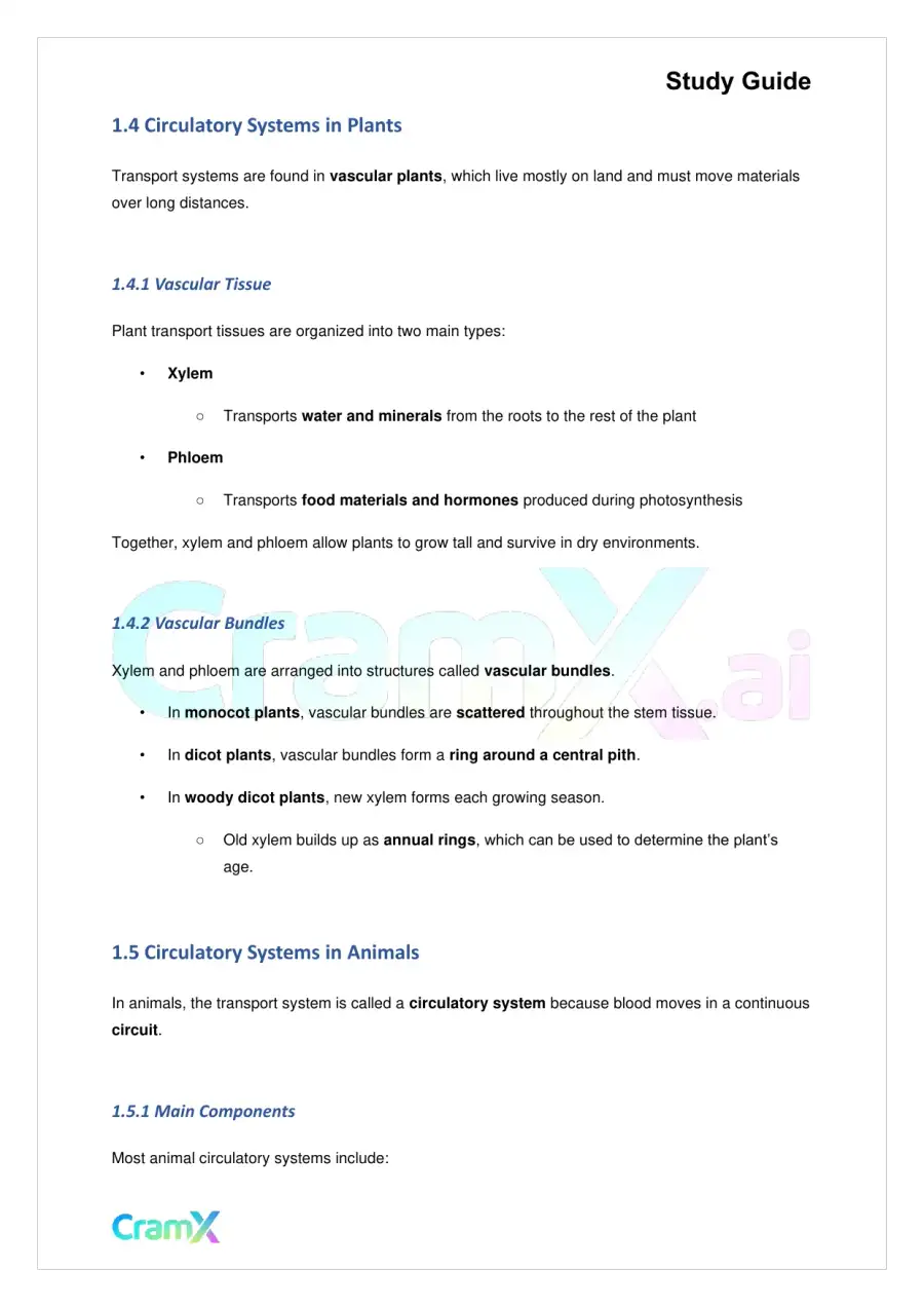 Biology - Blood and Circulation, page 2