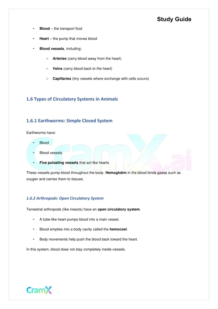 Biology - Blood and Circulation, page 3