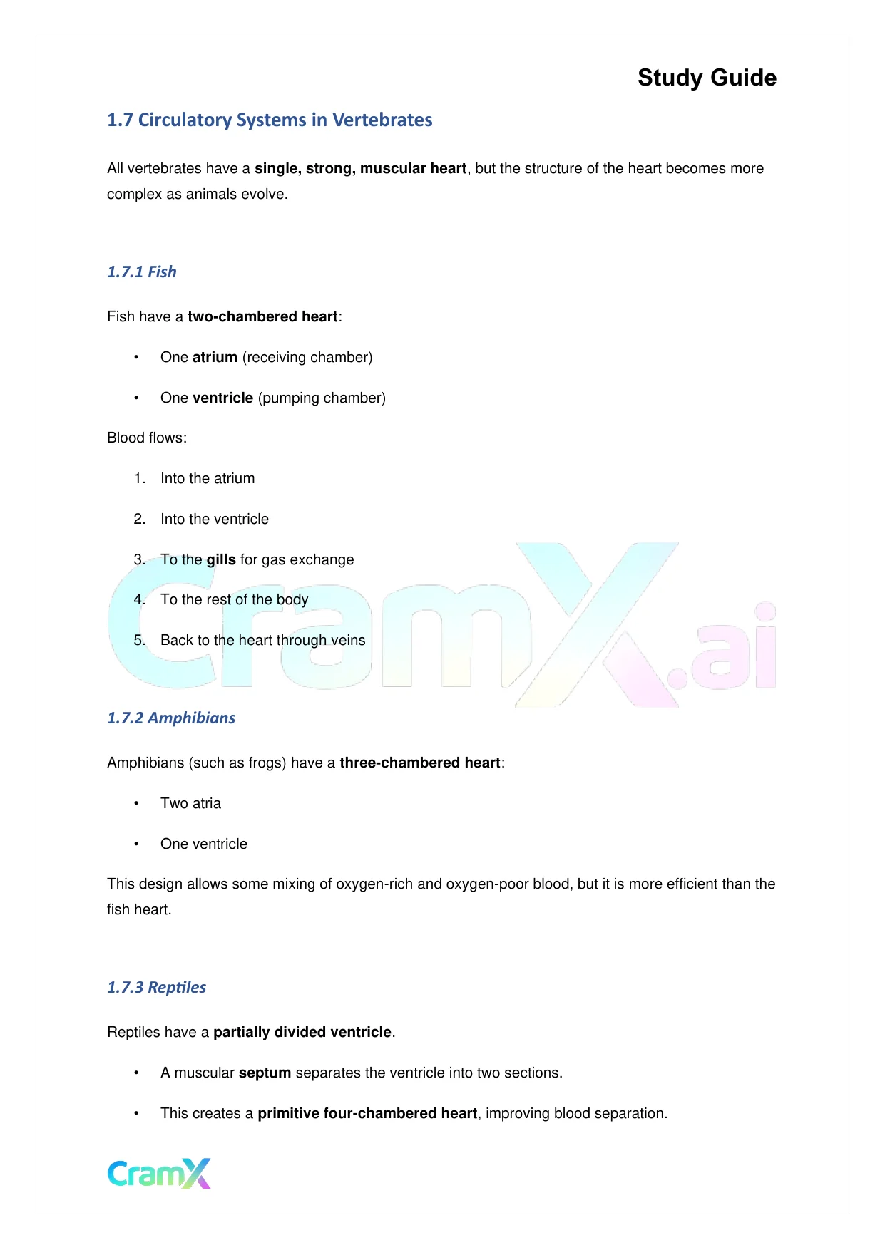 Biology - Blood and Circulation - Page 4 preview image