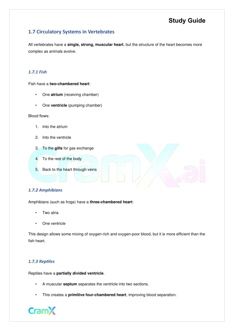 Biology - Blood and Circulation, page 4