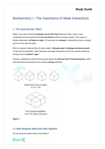 Biochemistry I - The Importance of Weak Interactions - Page 1 preview image