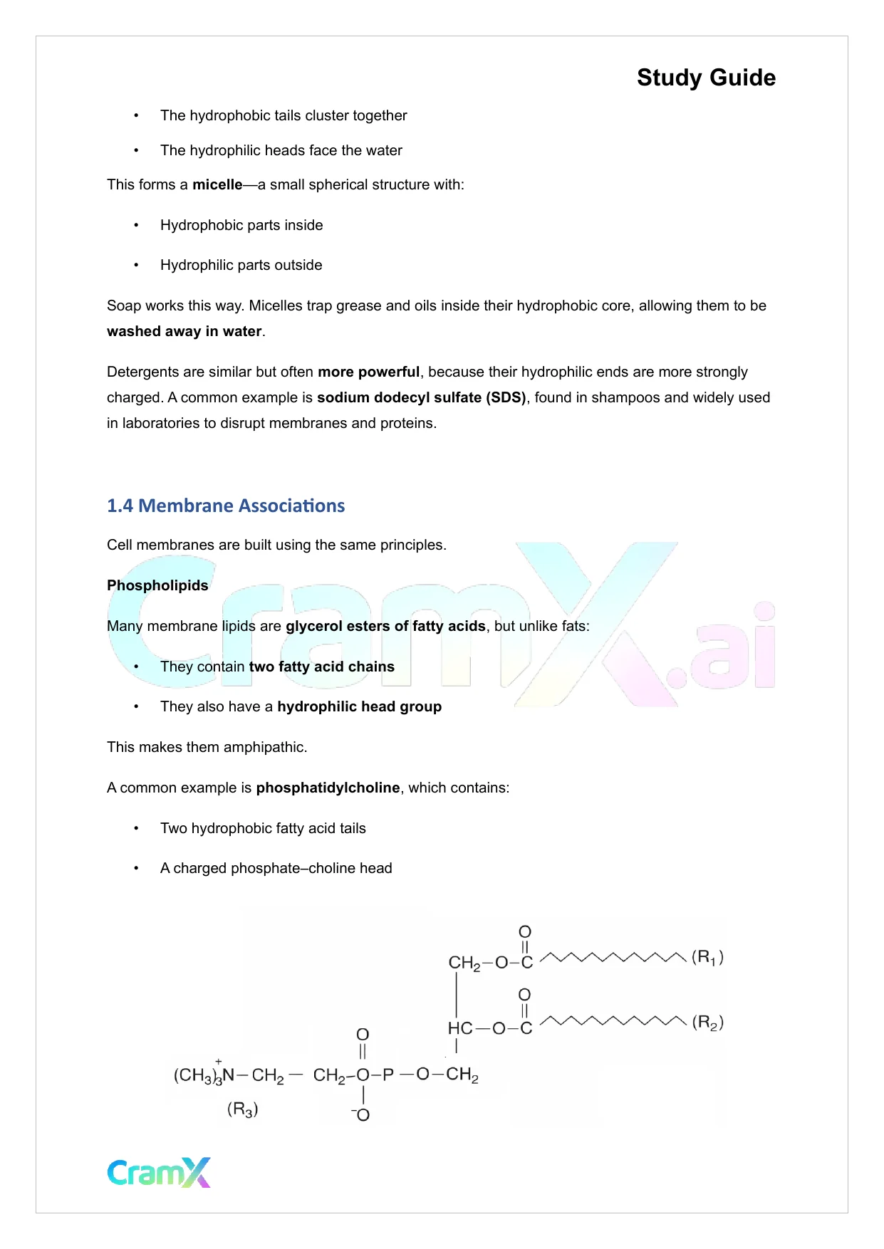 Biochemistry I - The Importance of Weak Interactions - Page 3 preview image