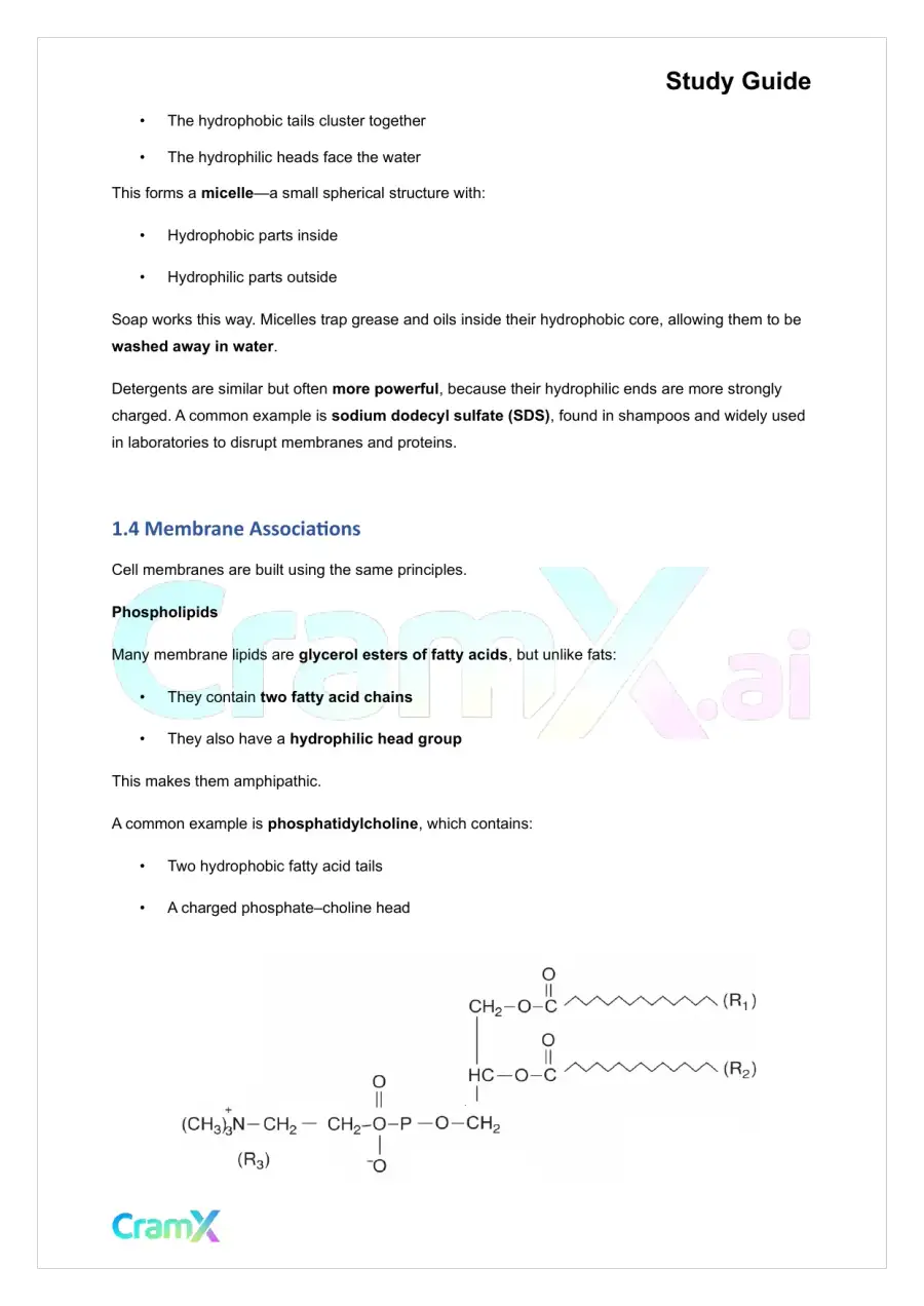 Biochemistry I - The Importance of Weak Interactions, page 3