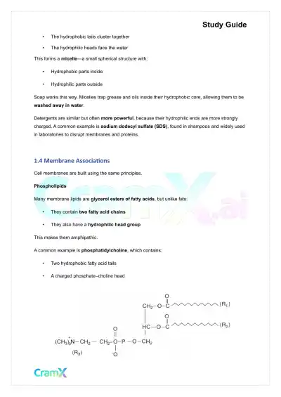 Biochemistry I - The Importance of Weak Interactions - Page 3 preview image