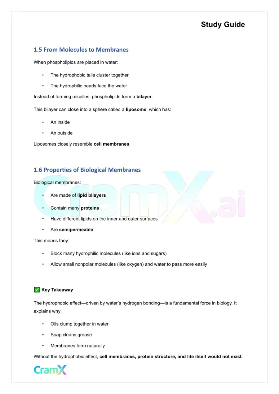 Biochemistry I - The Importance of Weak Interactions, page 4