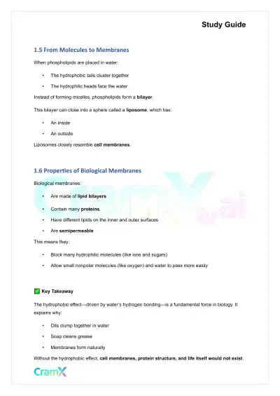 Biochemistry I - The Importance of Weak Interactions - Page 4 preview image