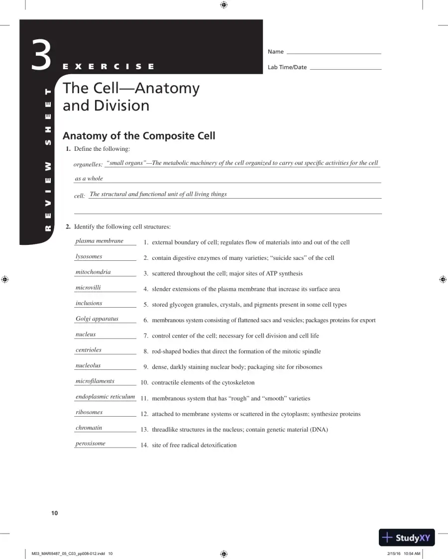 Solution Manual for Laboratory Manual for Anatomy and Physiology, 6th Edition, page 11