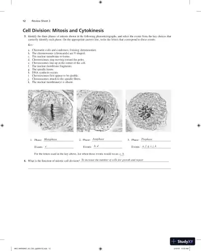 Solution Manual for Laboratory Manual for Anatomy and Physiology, 6th Edition - Page 13 preview image