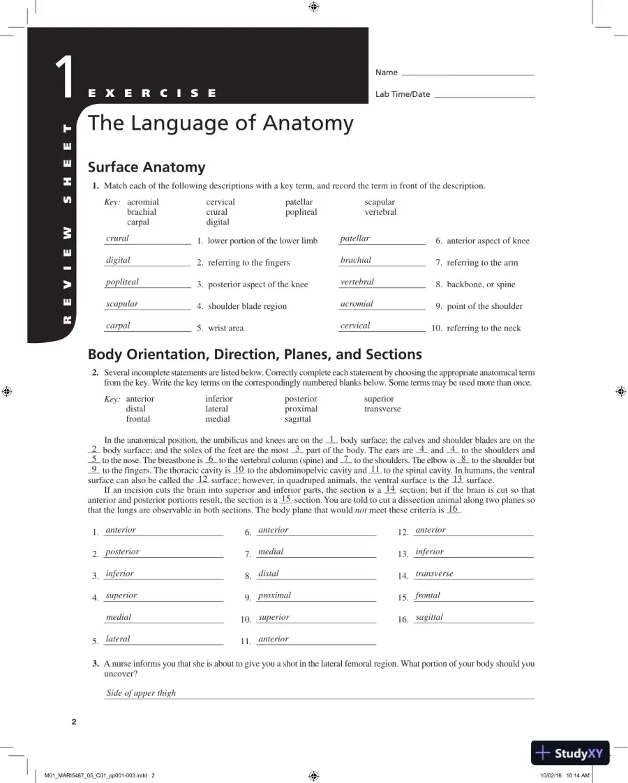 Solution Manual for Laboratory Manual for Anatomy and Physiology, 6th Edition, page 3