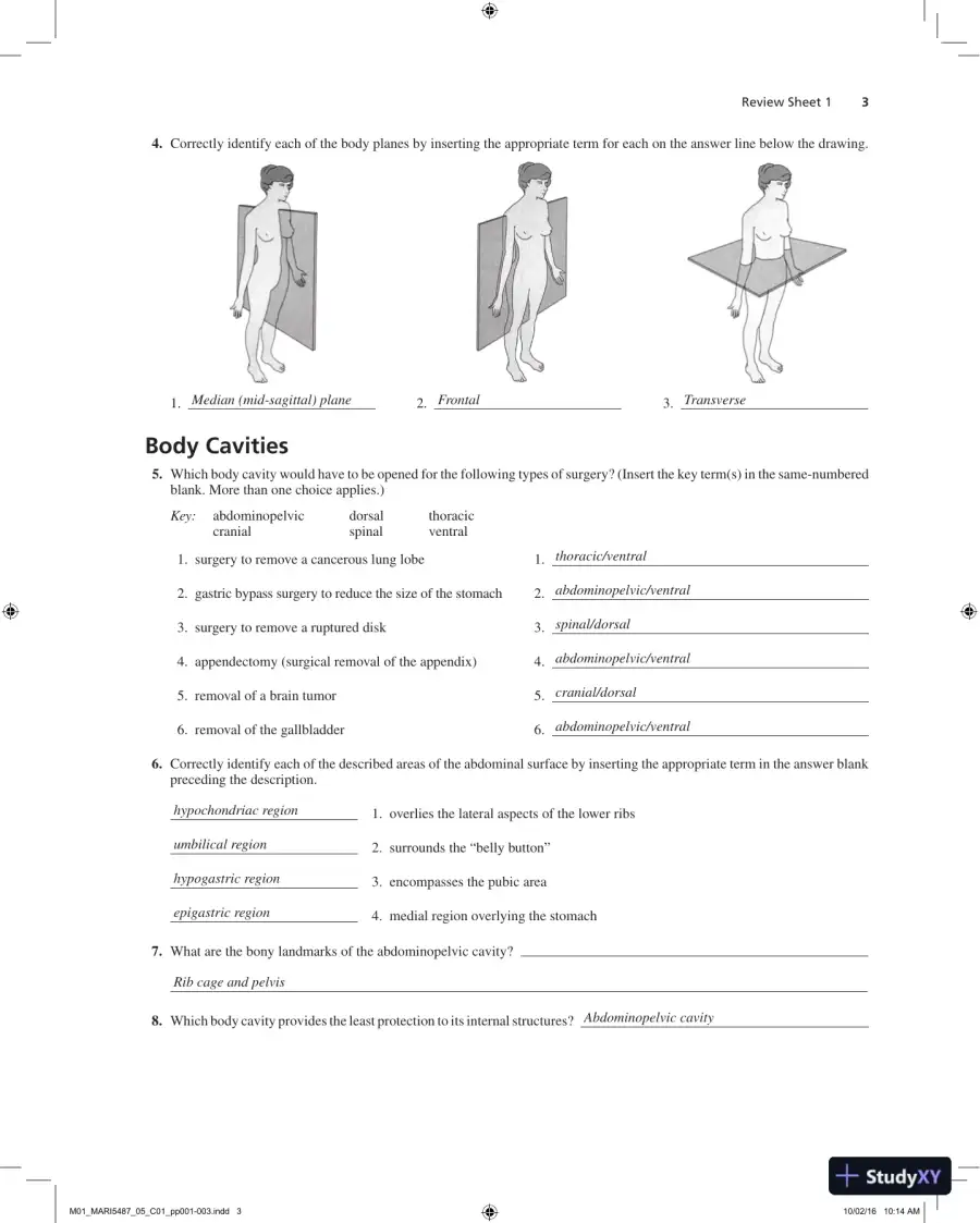 Solution Manual for Laboratory Manual for Anatomy and Physiology, 6th Edition, page 4