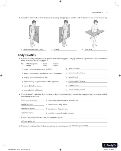 Solution Manual for Laboratory Manual for Anatomy and Physiology, 6th Edition - Page 4 preview image