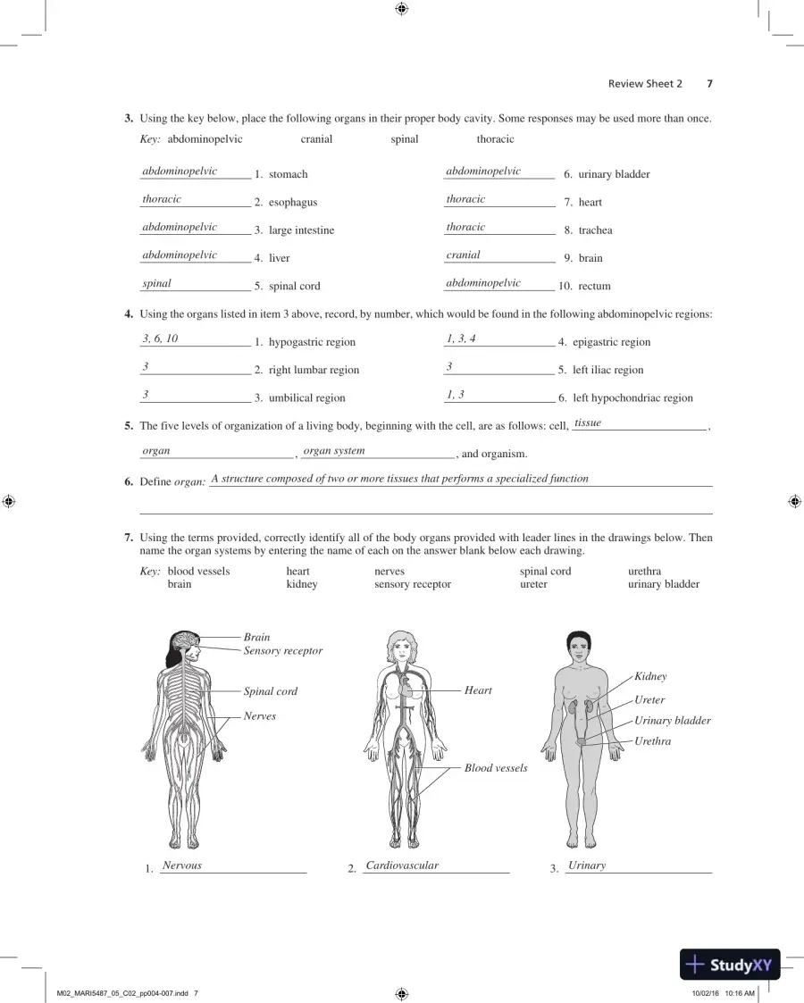 Solution Manual for Laboratory Manual for Anatomy and Physiology, 6th Edition, page 8