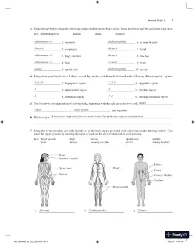 Solution Manual for Laboratory Manual for Anatomy and Physiology, 6th Edition - Page 8 preview image