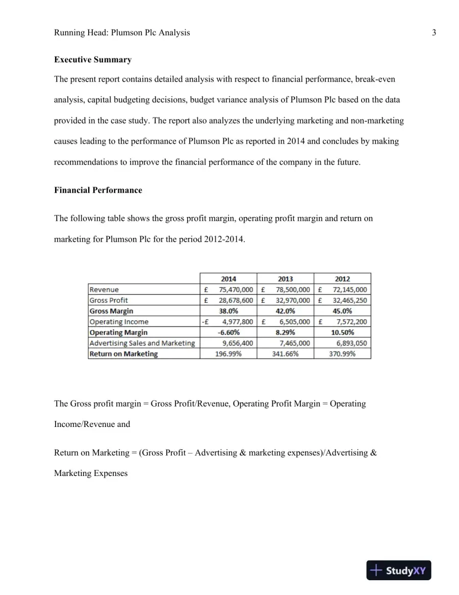Financial and Strategic Analysis of Plumson Plc: Recommendations for Improving Performance and Growth, page 4