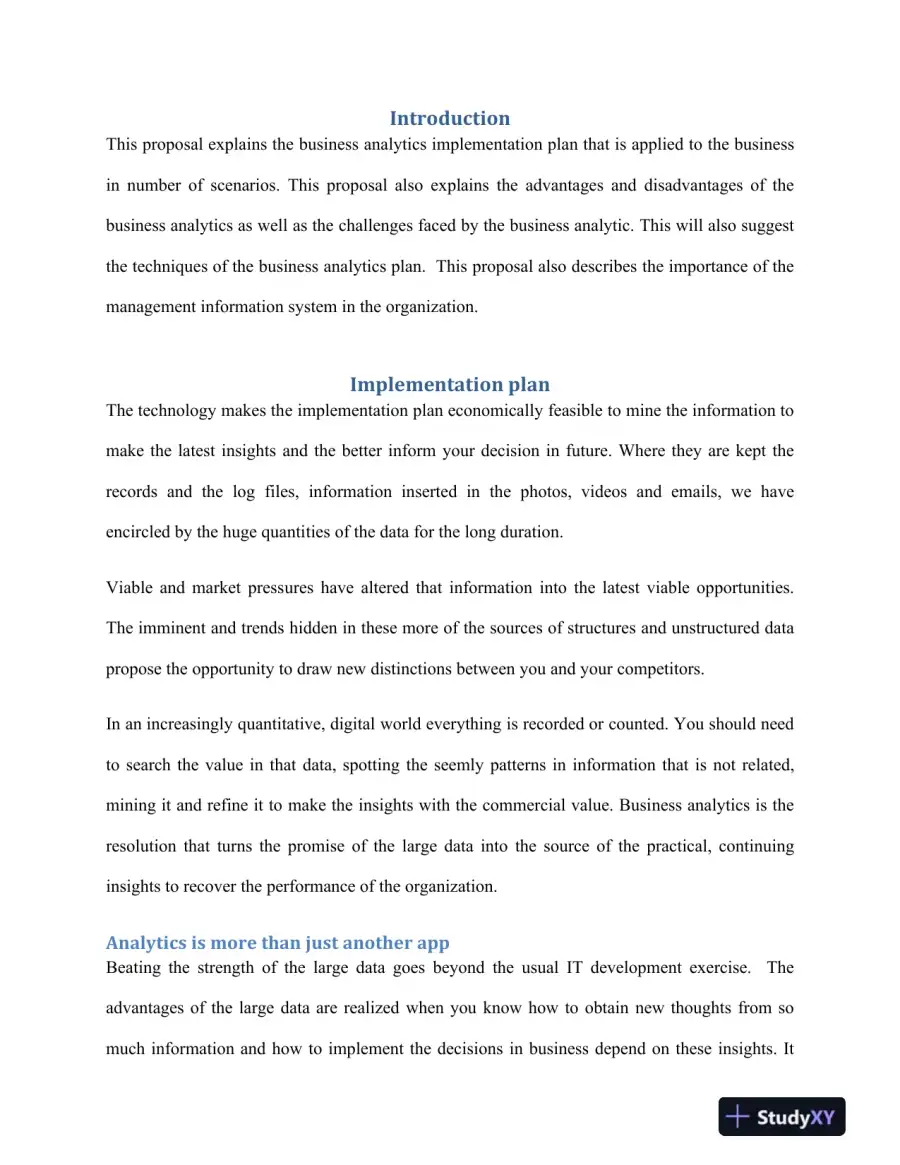 Assignment 2: LASA 2�Business Analytics Implementation Plan Part 2, page 4
