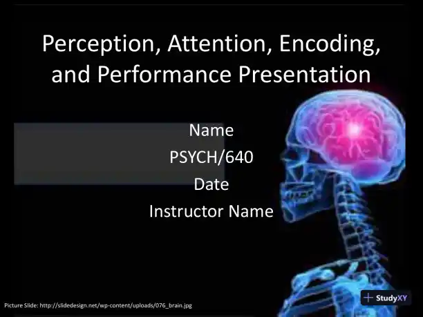 Perception, Attention, Encoding, And Performance Presentation - PSYCH/640 - Page 1 preview image