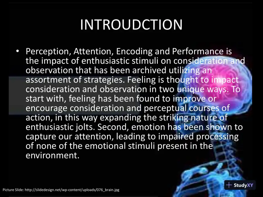 Perception, Attention, Encoding, And Performance Presentation - PSYCH/640, page 3