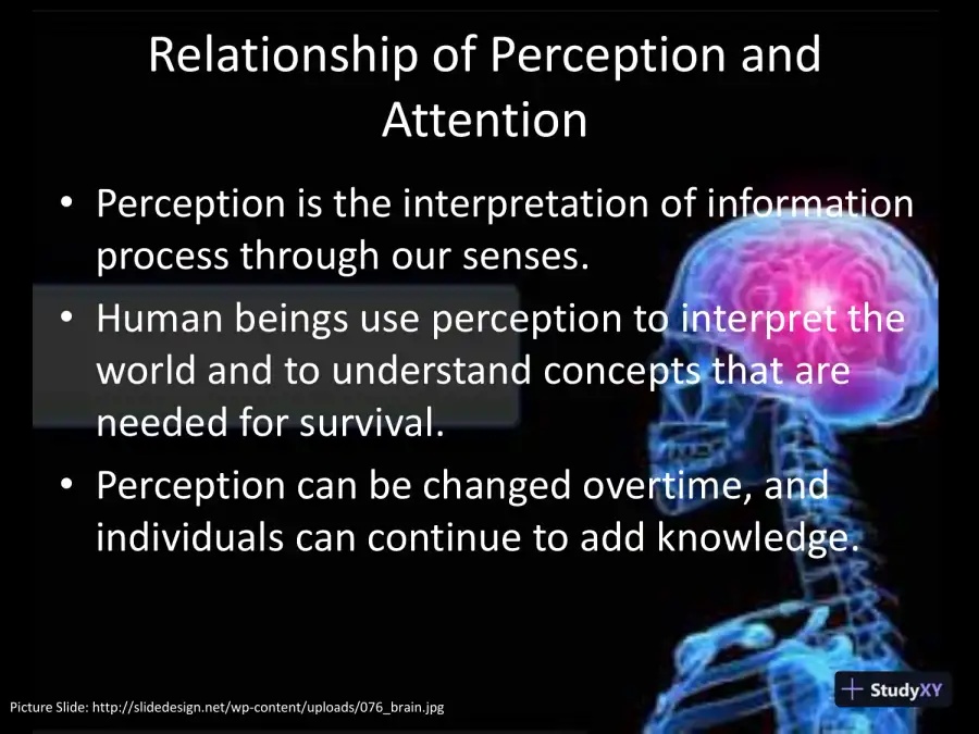 Perception, Attention, Encoding, And Performance Presentation - PSYCH/640, page 4