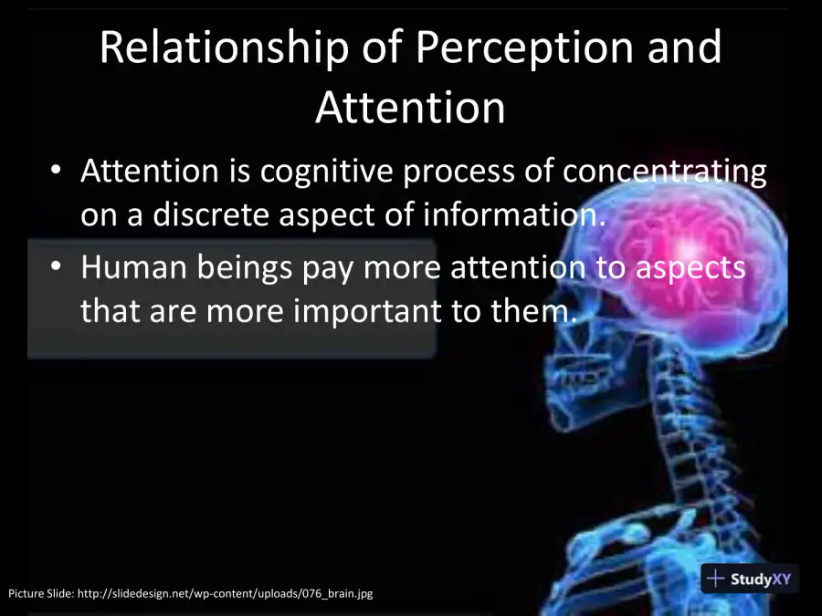 Perception, Attention, Encoding, And Performance Presentation - PSYCH/640, page 5