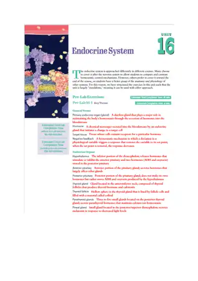 Endocrine System - Page 1 preview image
