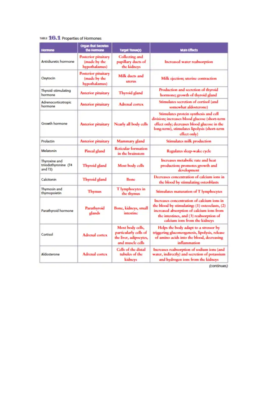 Endocrine System, page 3