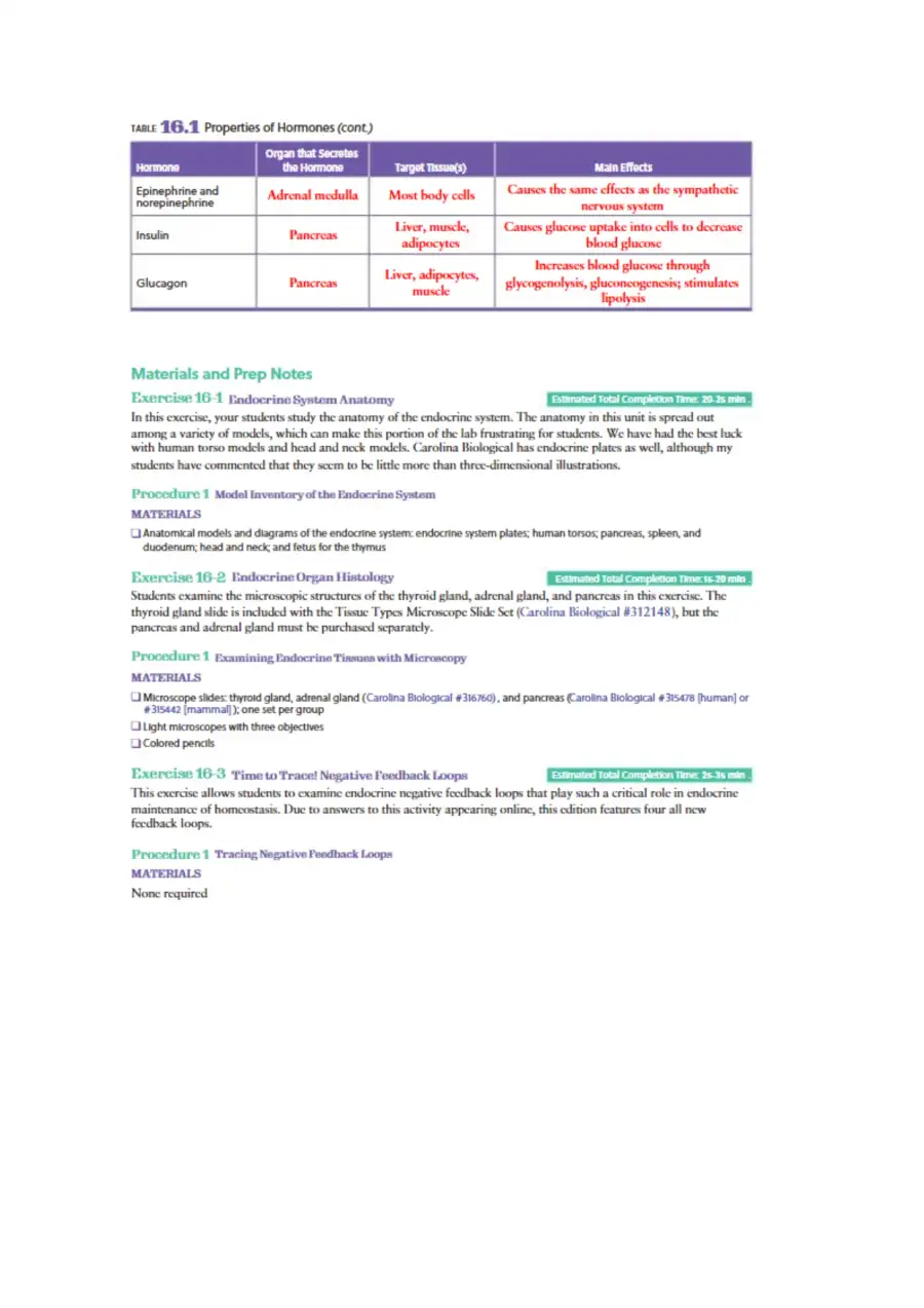 Endocrine System, page 4