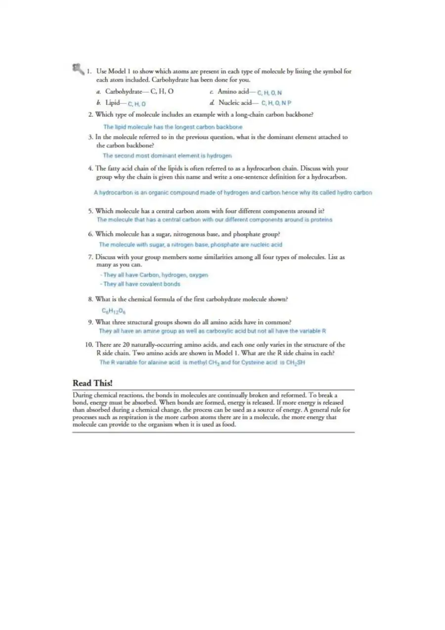 Kami Export  Biological Molecules POGIL, page 2