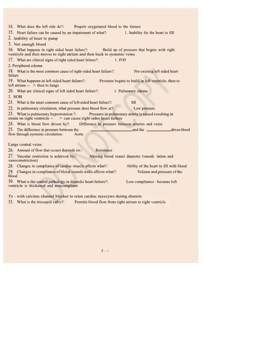 Human Anatomy and Physiology-Cardiovascular Questi, page 2