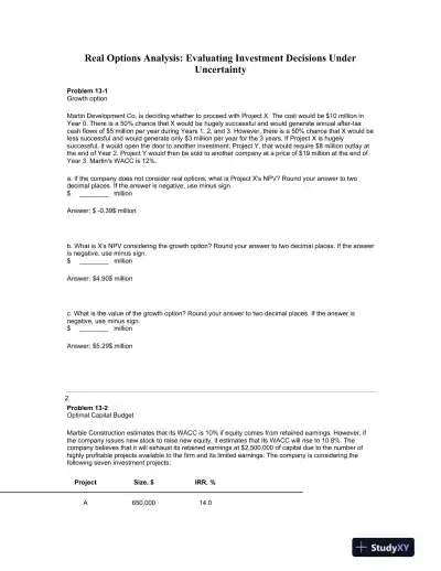Real Options Analysis: Evaluating Investment Decisions Under Uncertainty - Page 1 preview image
