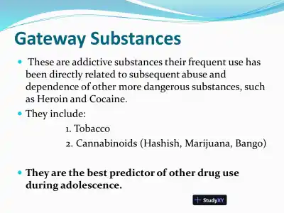 Substance Abuse And Dependence - Page 10 preview image