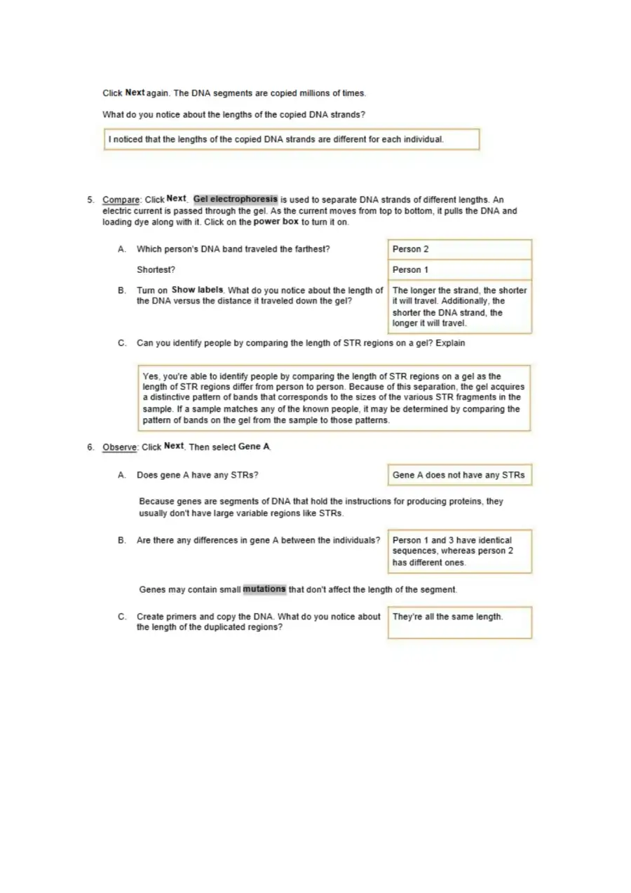 Exploring DNA Profiling, page 3