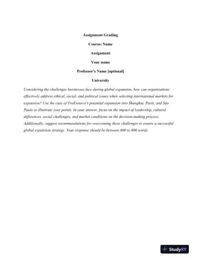 Navigating Ethical, Social, and Political Challenges in Global Expansion: A Case Study of TruEsource's Market Selection - Page 1 preview image