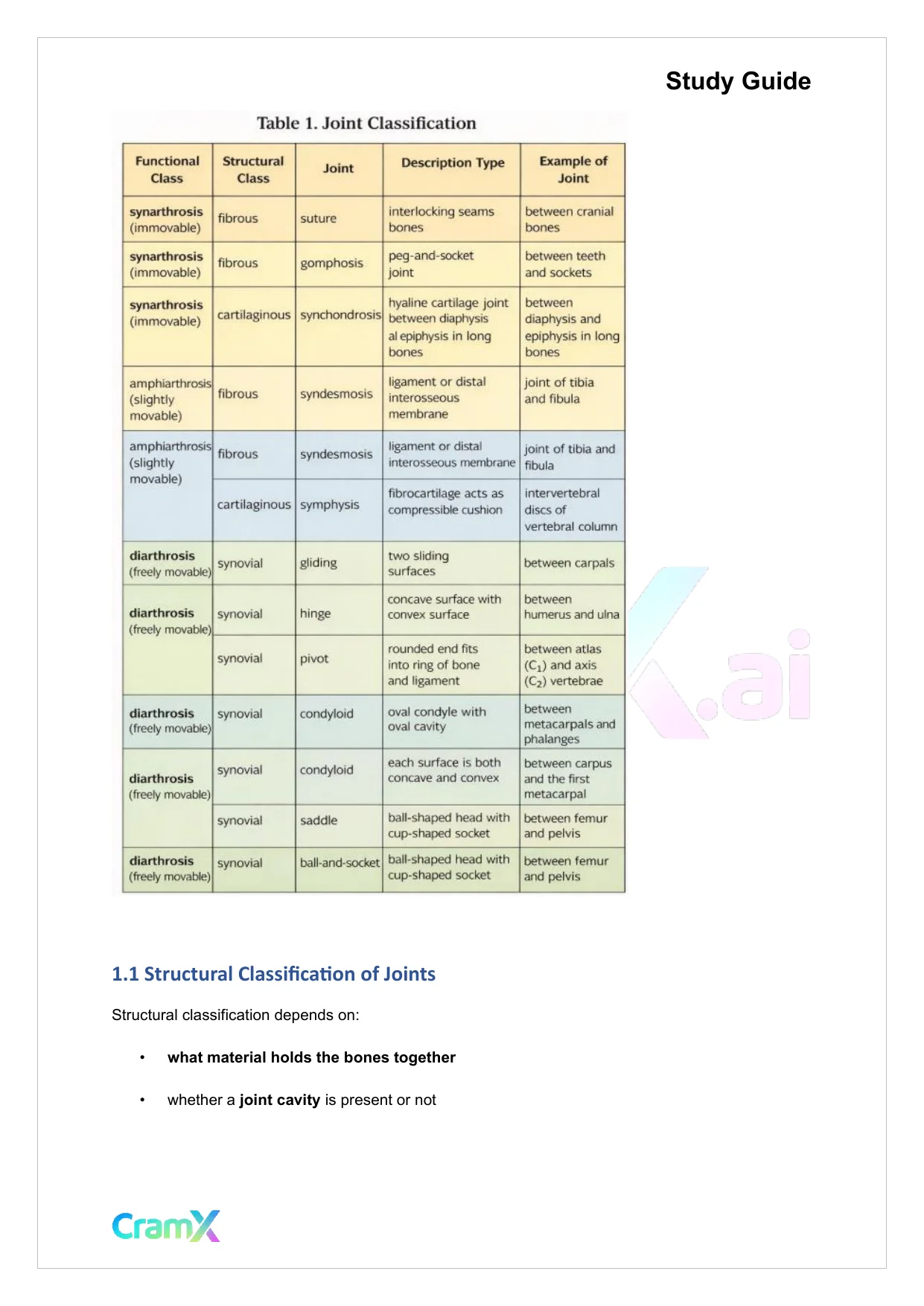 Anatomy and Physiology - Articulations - Page 2 preview image