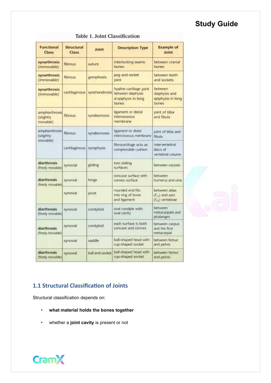 Anatomy and Physiology - Articulations, page 2