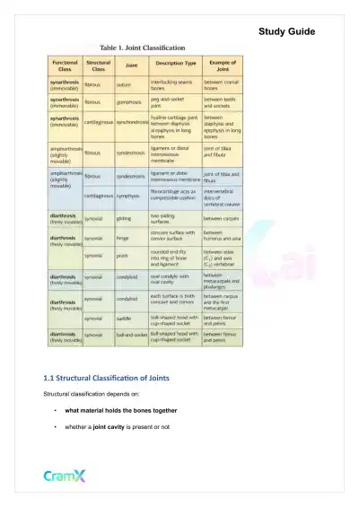 Anatomy and Physiology - Articulations - Page 2 preview image