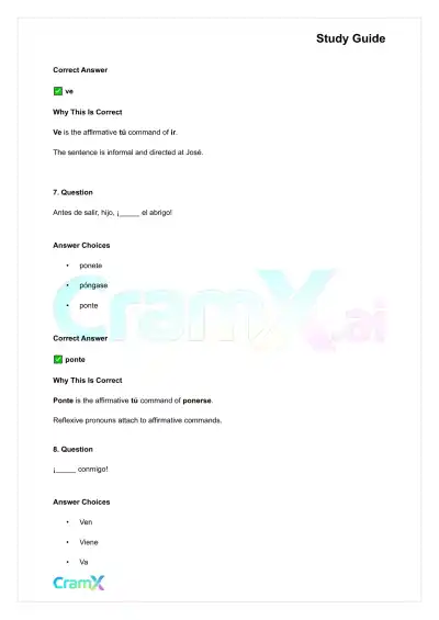 Spanish I - Commands - Page 4 preview image